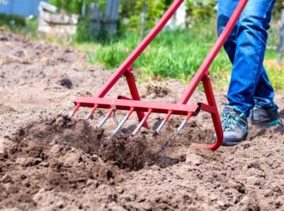 aerate soil