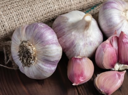 Allium sativum bulbs and cloves beside a cloth on a wooden table.