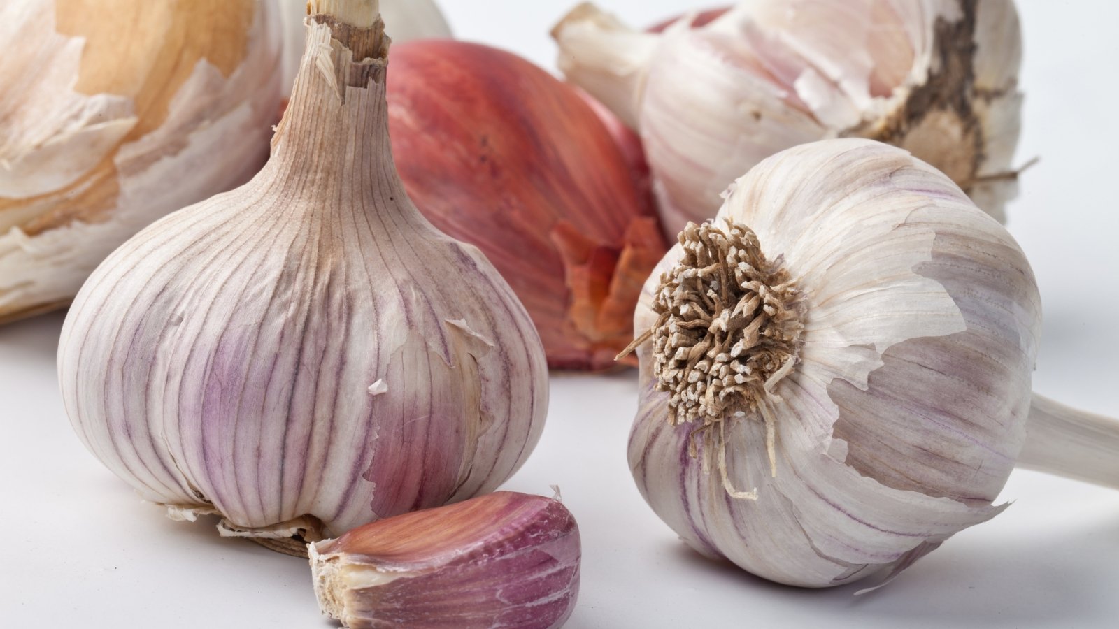 A selection of various bulbs and shallots, displaying a mix of sizes and colors, laid out on a wooden table, highlighting their natural, rustic appearance.