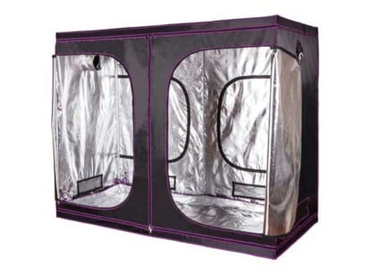 Apollo Grow Tent Review