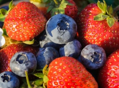 Blueberries and Strawberries from Garden