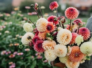 A woman standing in a garden, holding a bouquet of different types of flower in beautiful shades of purple, red, orange, white, and yellow.