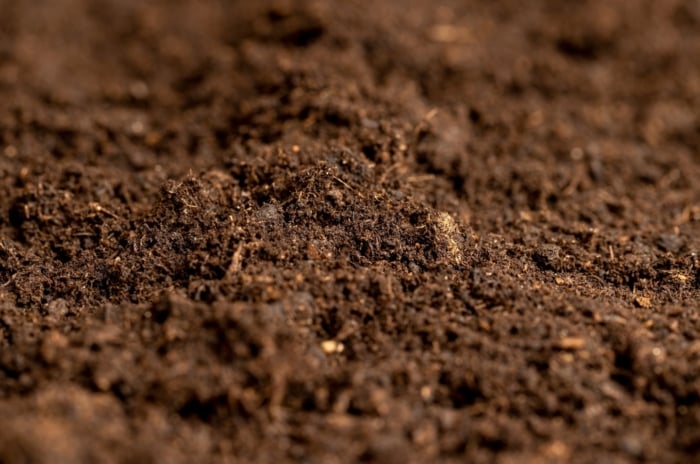 Close-up of rich, dark, finely textured earth, showcasing its readiness for planting or cultivation.