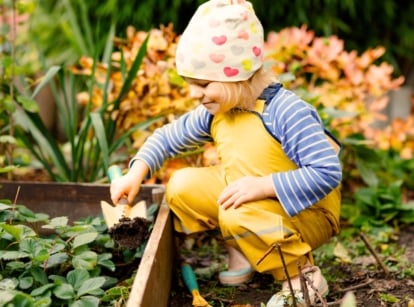 Close-up of a little girl in bright yellow overalls and a white hat with colorful hearts digging soil in a raised garden bed with growing strawberry plants.