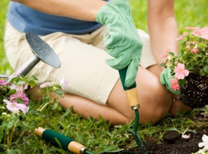 gardener planting flowering plants in the garden while wearing protective gloves.