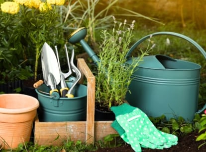 Gardening tools, including a watering hose, terracotta pot, watering can, shovel, trowel, rake, green gloves, and a potted lavender plant, are arranged in a garden surrounded by blooming bright yellow marigolds and pink vinca.