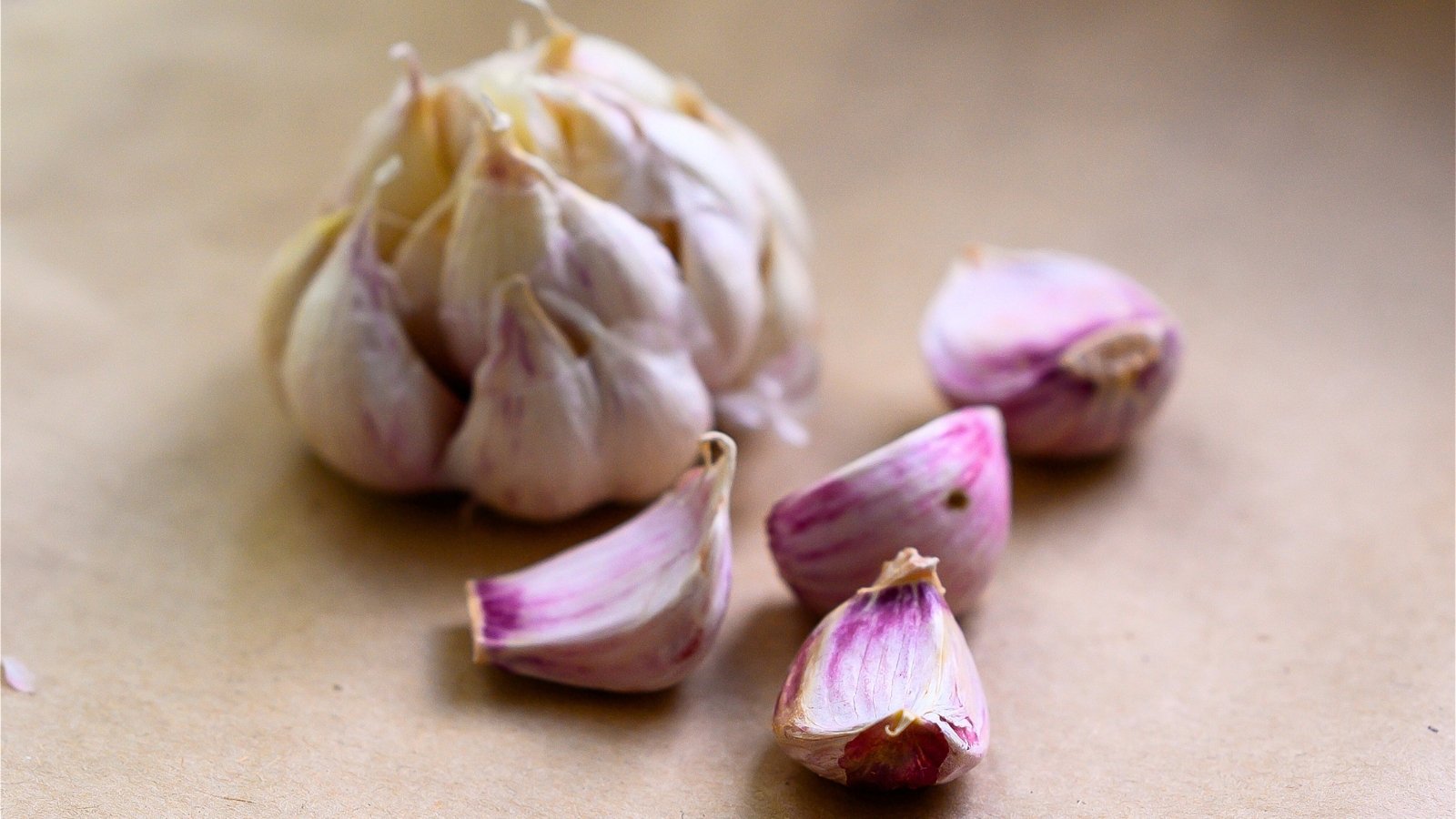 A tightly packed cluster of plump, teardrop-shaped cloves covered in a papery white skin, all encased within a rounded, slightly pointed bulb.