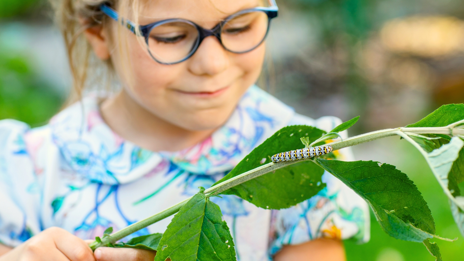 A little girl with white hair and black-rimmed glasses watches a caterpillar crawling along a branch with oval green leaves.