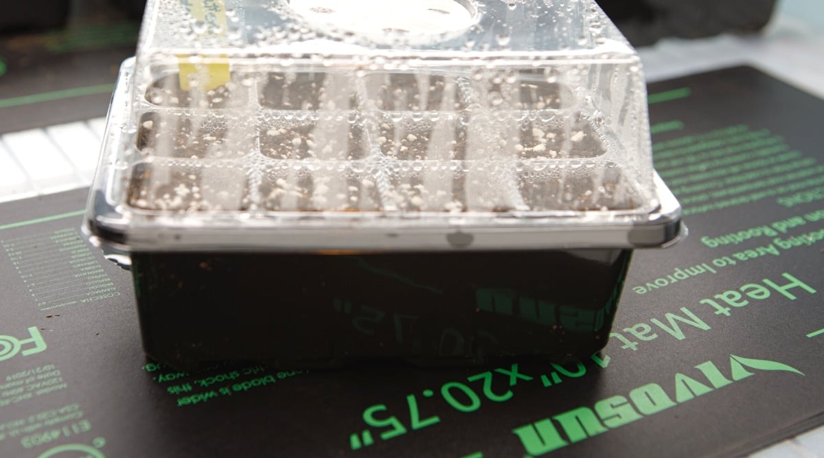 Close-up of a seed germination starter tray with a transparent wet dome standing on a heating black mat with green lettering. The tray is black, plastic, has deep square cells filled with soil.