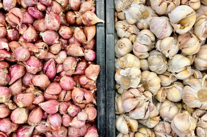 Close-up of two black crates filled with pinkish and white-gray garlic seeds.