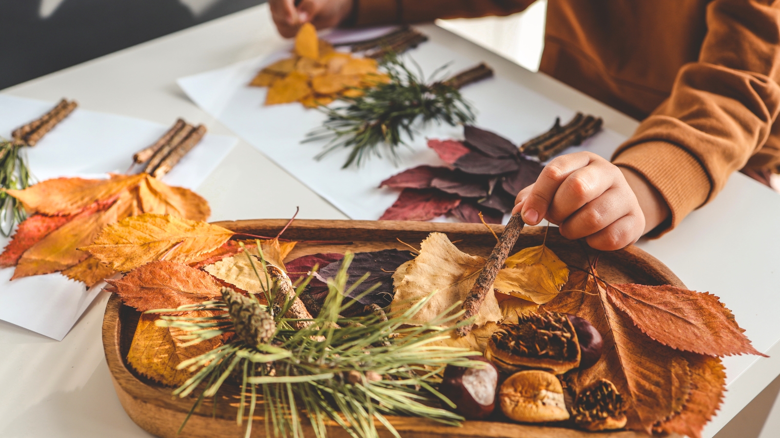 Close-up of a toddler creating a herbarium using dried maple leaves, pine branches, chestnuts, and other natural materials.