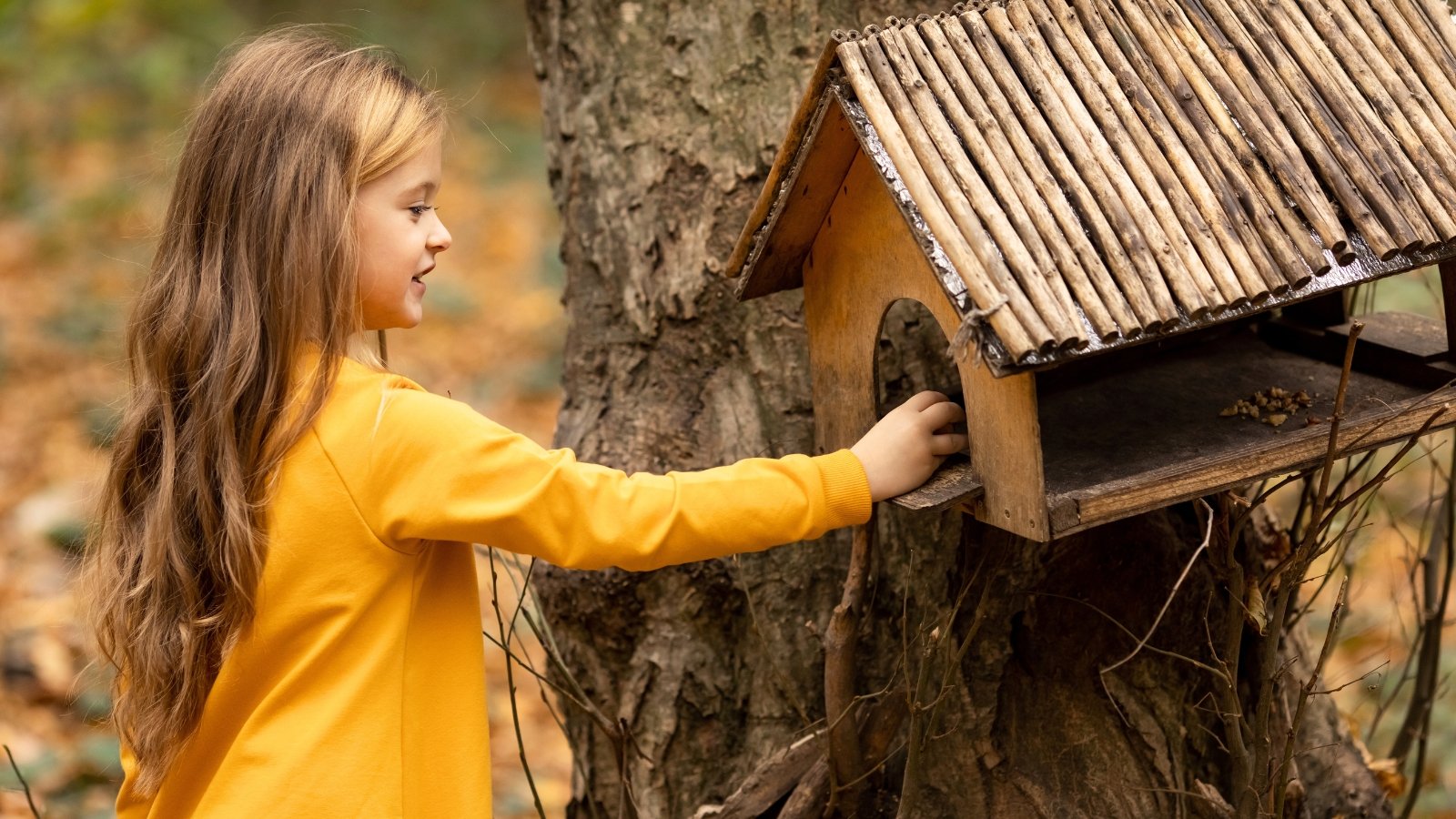 Close-up of a little girl with long golden hair in a bright orange sweater pouring millet into a wooden bird feeder in a garden.
