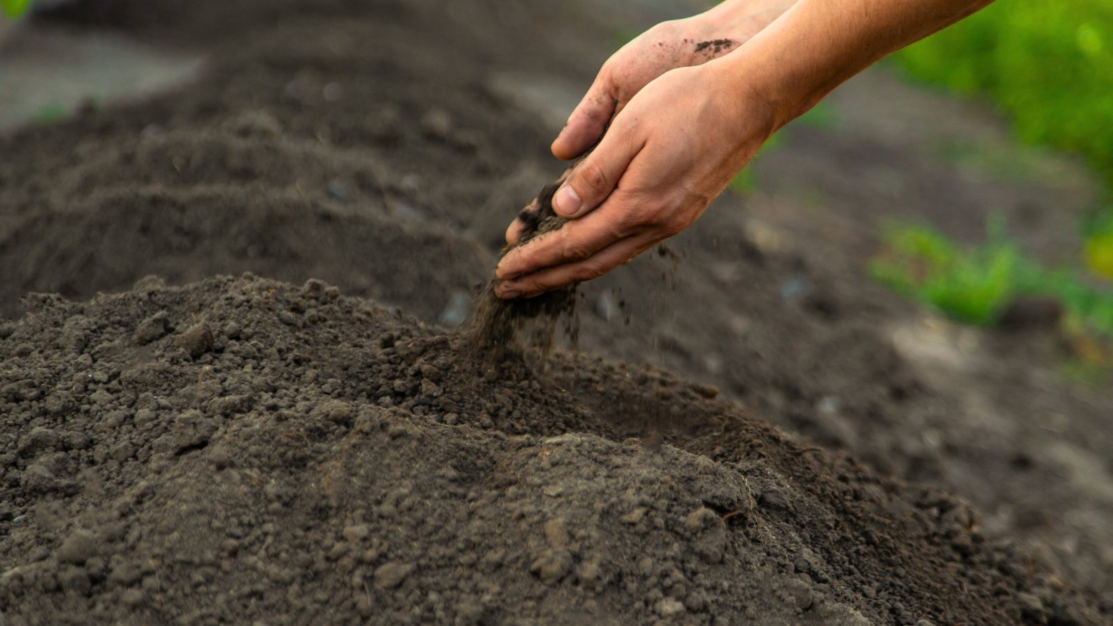 Close-up of a man's hands pouring loose, crumbly dark gray-black soil onto a garden bed.
