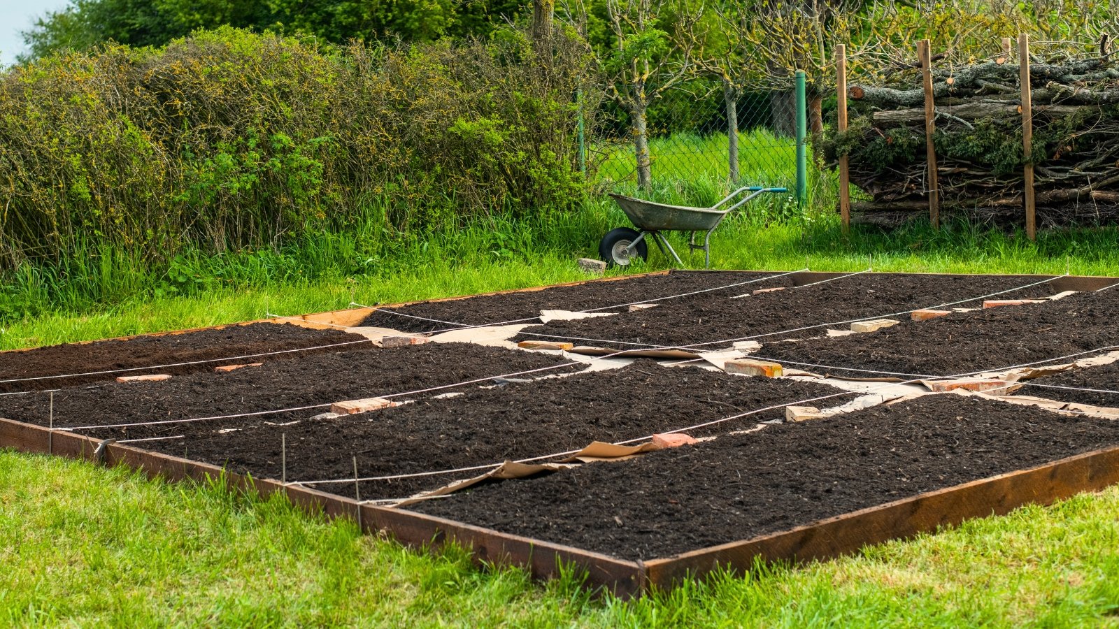 Low wooden raised beds using the No Dig gardening method, filled with layers of cardboard, compost, and fresh soil.