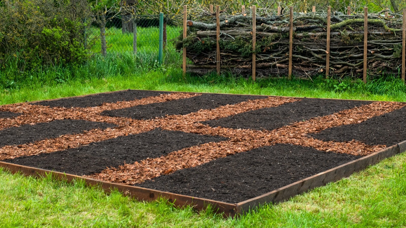 View of raised beds filled with fresh black compost, with pathways laid out using wood chips.
