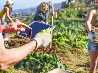 A cheerful group of people working together to pick fresh vegetables, with a variety of produce such as lettuce, radishes, and carrots being collected in baskets, set against a backdrop of lush greenery.