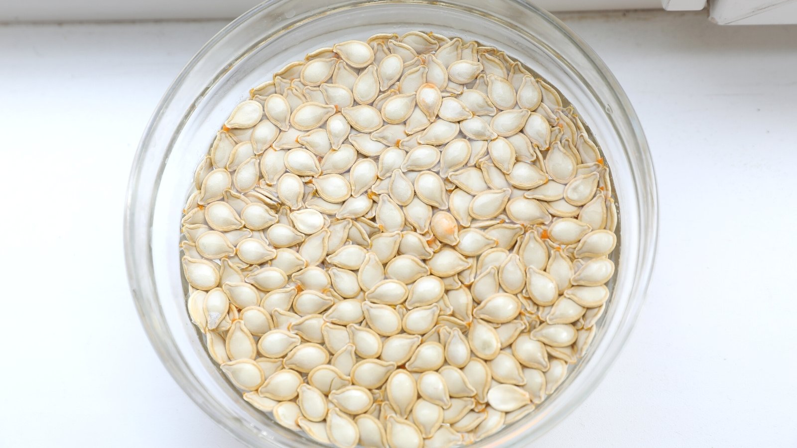 Pumpkin Seeds Soaked in Water