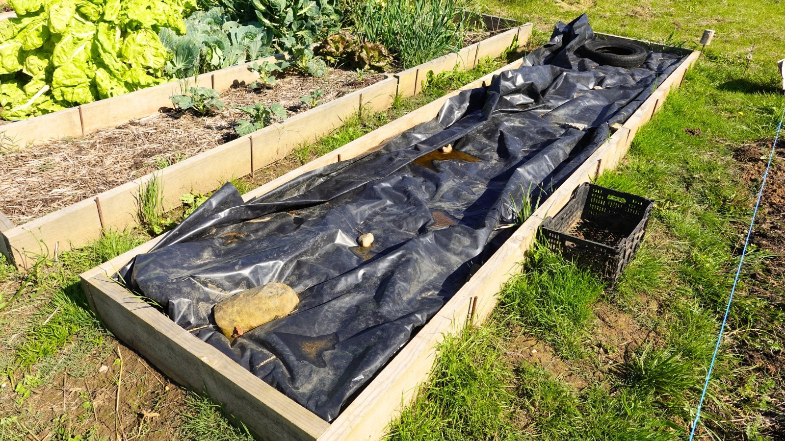 raised garden bed covered with black plastic sheeting