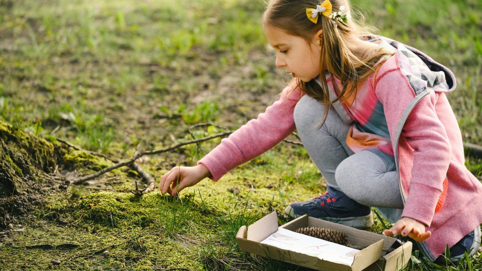 Close-up of a little girl scavenger hunting in the garden, collecting pine cones and twigs in a cardboard box.
