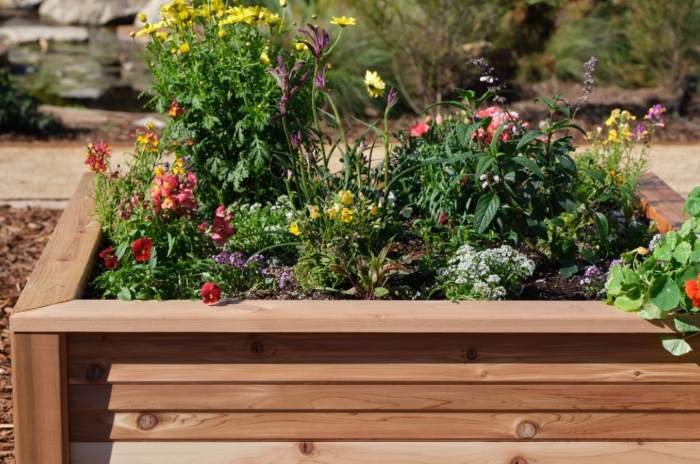 A wooden raised bed filled with colorful flowers and lush green plants, basking in the sunlight. In the background, a garden teems with life, offering a vibrant backdrop to the tranquil beauty of the bed.