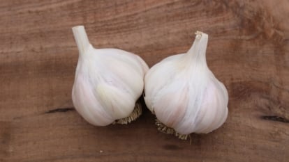 A close-up of two softneck garlic bulbs resting on a wooden surface.