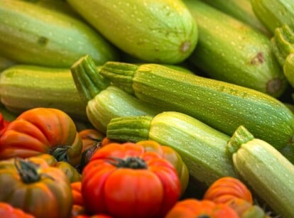 zucchini and tomatoes